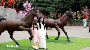 تغير كبير طقس المنطقة الشمالية يتراجع وتهطل أمطار متفرقة